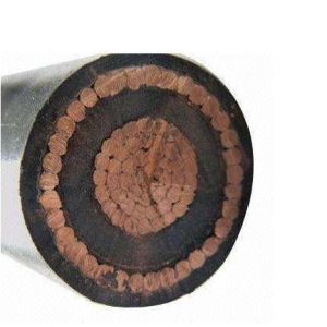 Wholesale Best Price Single-Phase Insulated Low Voltage Cable Concentric Type from china suppliers