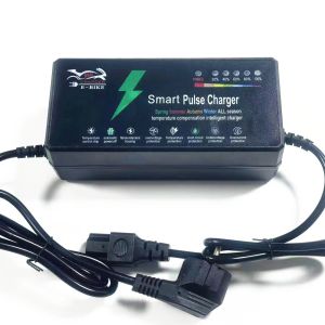 Advanced Technology 48V20Ah Lead Acid Battery Charger for Electric Vehicle E