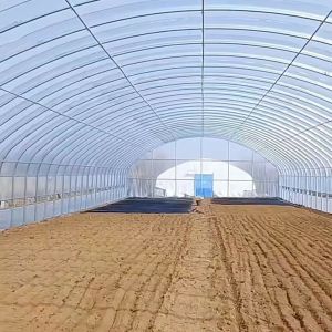 China Polytunnel Plastic Tunnel Single Span Agricultural Greenhouse for Customized Request on sale
