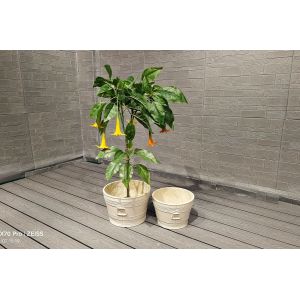 Frost Resistant Reinforced Clay Planter Hand Carved and Durable for B2B