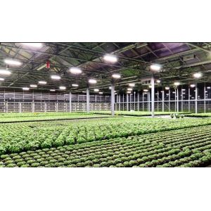 High PPFD IP65 5000lm Quantum Grow Lights