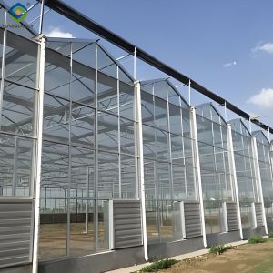 New Products Ultraviolet-Proof Farming Venlo stype greenhouse with hydroponics