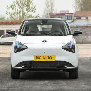 Big Capacity Pure Electric Car Joy 01 High Speed Electric Car Suitable for