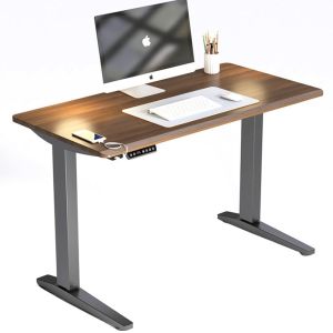 Electric Lift Top Standing Desk for Boss Study Dual Motor Height Adjustable