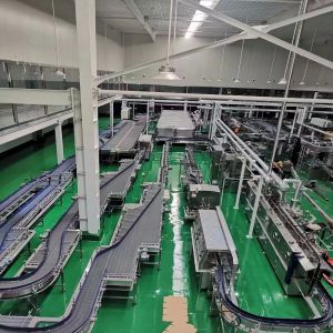 Full Auto Canned Tomato Processing Line with 40000-60000BPH Capacity and