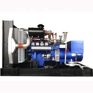 Wholesale Customized 350kw Natural Gas Generator with 630A Rated Current and CE Certification from china suppliers