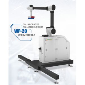 Robot Integration With Chinese Robot Arm WP-20 Palletizing Robot