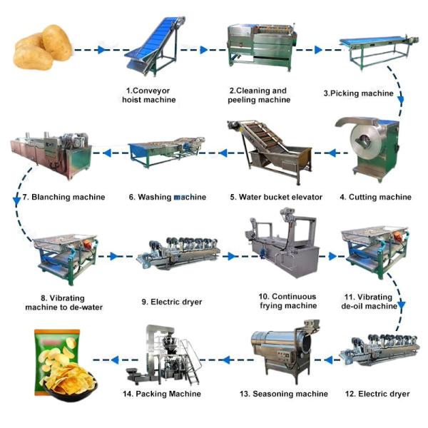 Potato Chip Fryer Processing Line Equipment Customization for Consistent Production