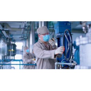 Tablet Disintegrants Sodium Starch Glycolate Carboxymethyl Starch Sodium Cms CAS