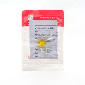 QPCR Hotstart Taq DNA Polymerase RT-PCR Enzyme P1101