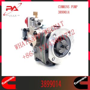 Wholesale 3899014 original and new Cum-mins Injection pump KTA19-G2 Engine 3899014 3655996 3419453 3060949 3419468 3347539 from china suppliers