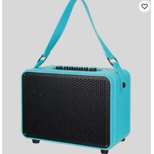 Popular Active Tws Portable Speaker USB 6.5 Inch Karaoke Speaker With Mics