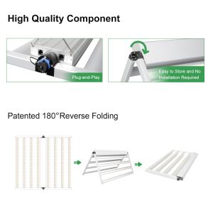 Full Spectrum LED Cultivation Light For Leafy Greens Lettuce