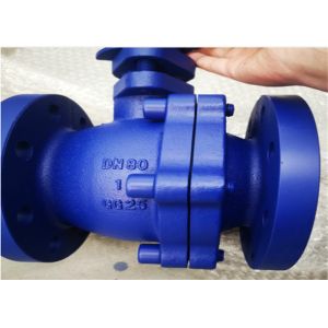 DIN Standard PN16 2PS Floating Ball Valve Cast Iron Flanged End 2"-8"
