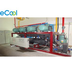 Large Scale Custom Cold Storage Built In Already Existed Warehouse With Electric