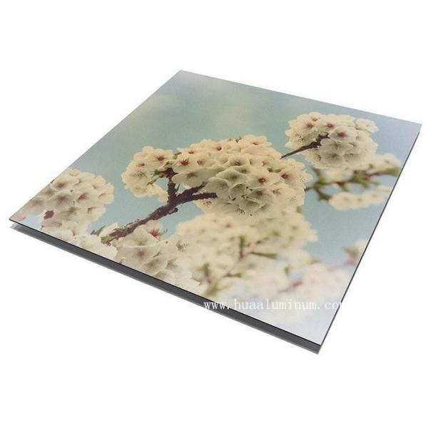 Quality UV Resistant Signage Aluminum Composite Panel , 2000mm ACM Sign Board for sale