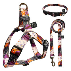 Adjustable Dog Harness Set Polyester Dog Leash Collar For Pet Animal