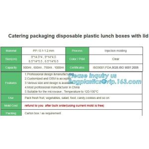 clear blister clamshell plastic raspberry containers,lunch box 4 compartment PP