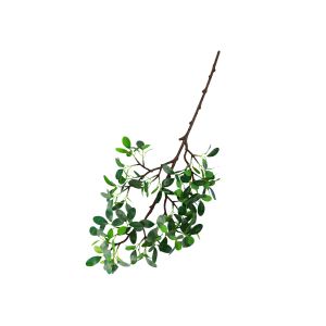 Clear Veins Fake Tree Branches Highly Simulated Upscale Ficus Branch