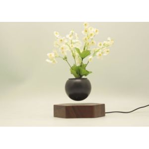 Levitating Floating Flower Pot, Magnetic Levitating Air Bonsai, Home office