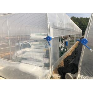 Easy Assembled Waterproof PE Film Prefabricated Single Span Tunnel Greenhouse