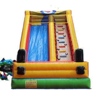 Wholesale Castle Design Inflatable Castle Double Slide for Kids Commercial Pvc Jumping Bouncer from china suppliers