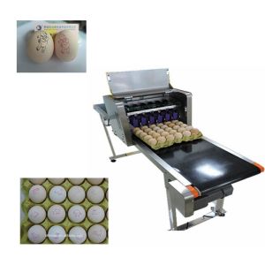 Wholesale Multiple Nozzle High Resolution Printer For Food Industry Egg Date Stamp Machine from china suppliers