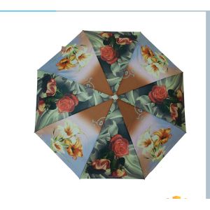 Gift Compact Foldable Auto Open Umbrella For Adults , Self Fabric Pouch