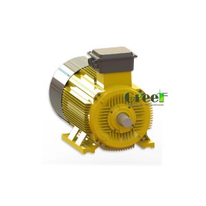 5KW Low Rpm Permanent Magnet Alternator For Wind Turbine Generators