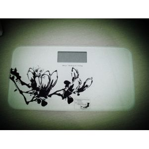 Travel Weighing Scales with LCD display