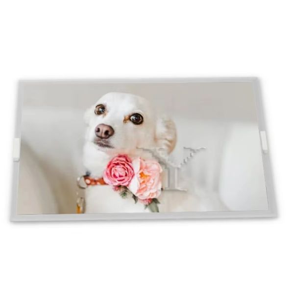 19 Inch Tft Lcd Screen LQ190E1LW61B LQ190E1LW61W LQ190E1LW74Y LQ190E1LX51A