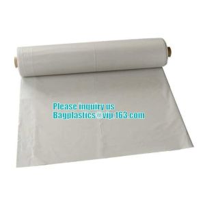 Clear Plastic wrapping Sheeting roll, Low density polyethylene film plastic