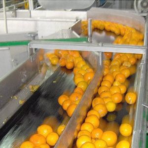 Industrial Orange Citrus Juice Production Line Automatic