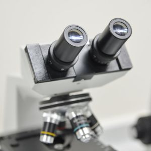 Authoritative Lamp Lab Test Export Testing And Certification Services