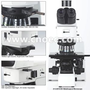 APO DIC Metallurgical Optical Microscope Halogen Lamp Illumination