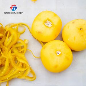 220V Industrial commercial fruit and vegetable peeler Apple pear persimmon