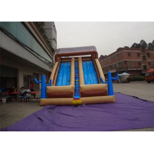 Wholesale Funny Outdoor Inflatable Slide , Inflatable Wet / Dry Slide For Kids from china suppliers