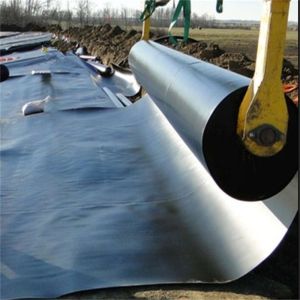 Waterproof HDPE/LLDPE/EVA Geomembrane Sheet 0.75mm-3mm Thickness for Waterproofi