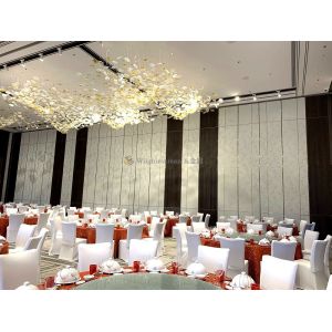 Door Within Door Acoustic Moveable Wall Partition For Easy Customization And