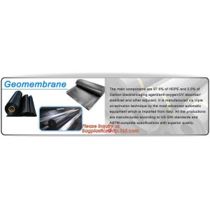 Steel plastic geogrid HDPE film HDPE LDPE geomembrane composite geomembrane