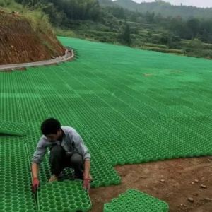 Grass Paver Mat Plastic Grass Grid Lawn Gravel Paving Grid Driveway Gridding for