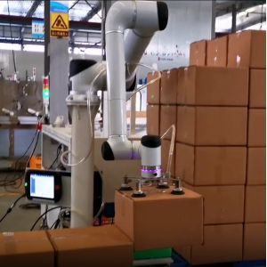 China Huayan S20 Automated Collaborative Robotic Arm Food Factory Palletizing