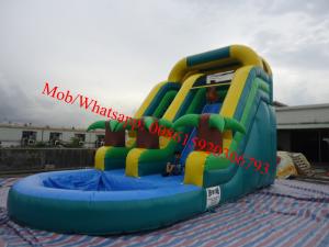 China Commercial Tropicmarble14ft Waterslide Inflatable on sale