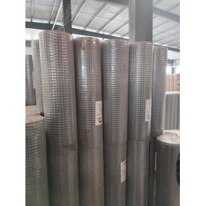 Promotional Various Durable Using 2x2 galvanized welded wire mesh Weld Mesh