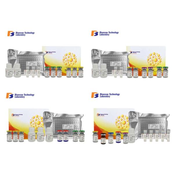 Strong Sensitivity ELISA Test Kit Customized Parkinson Disease Protein 2 ELISA