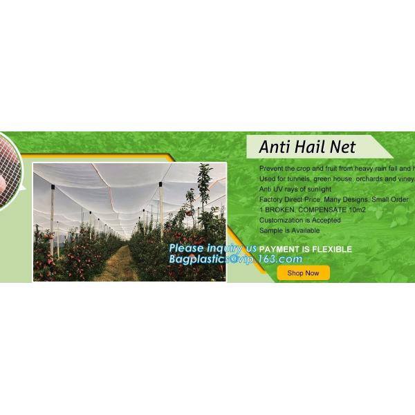 Quality agriculture in 40g with customizable sizes,100% virgin hdpe anti hail net, Hail Protection Net for Agriculture, Made in for sale