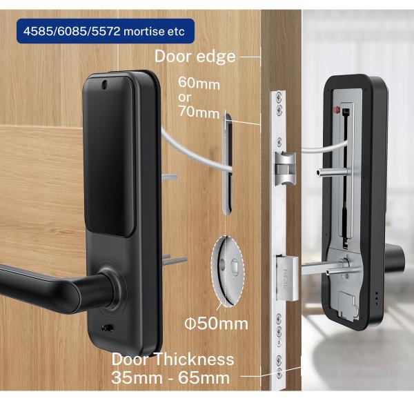 Quality ROSH Electronic Deadbolt Lock Wifi Keyless Remote Control Replaceable Cylinder for sale