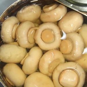 China OEM Private Label Canned Mushroom In Brine Water Canned Food on sale