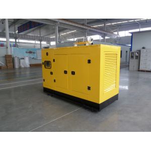20kw 50kw CHP Biogas Generator with Silent Soundproof Canopy