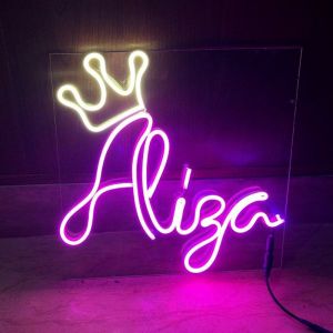 Custom Neon Sign Wall mounted faux Neon logo Lamp for Party 100-240V Input